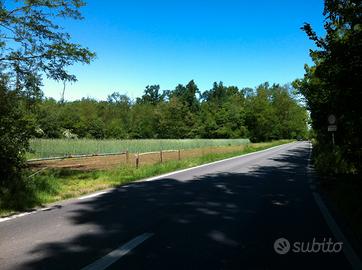 Terreno agricolo 9.000 mq