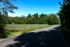 Terreno agricolo 9.000 mq