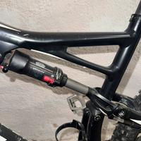 Mtb Specialized