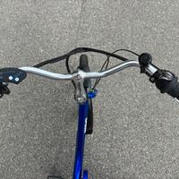 Triciclo elettrico per adulti