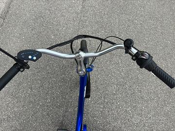 Triciclo elettrico per adulti