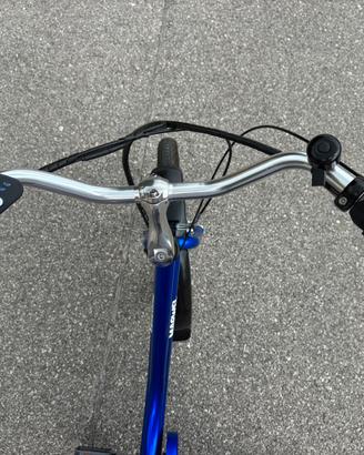 Triciclo elettrico per adulti