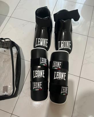Paratibie e piedi leone l