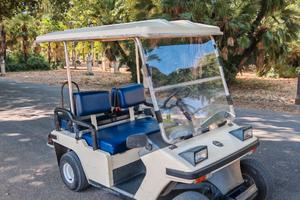 Golfcar Melex