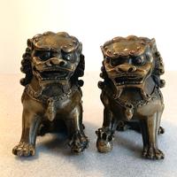 Coppia di cani di Fo