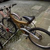 Mountain bike bi ammortizzata