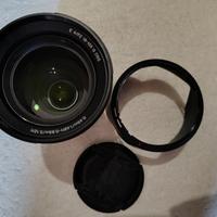 Sony 18-105mm F4