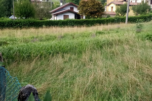ALBINO, Terreno edificabile e casa singola