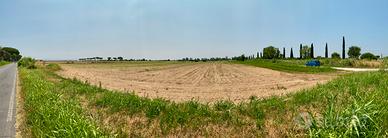 4 ettari coltivabili + pozzo + acqua potabile