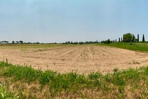 4 ettari coltivabili + pozzo + acqua potabile