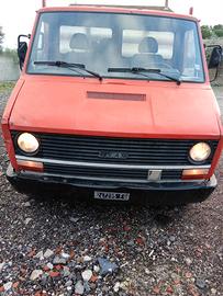 DAILY 35.8 Faro Tondo