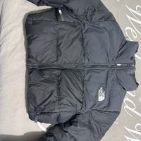 The north face w cropped saikuru