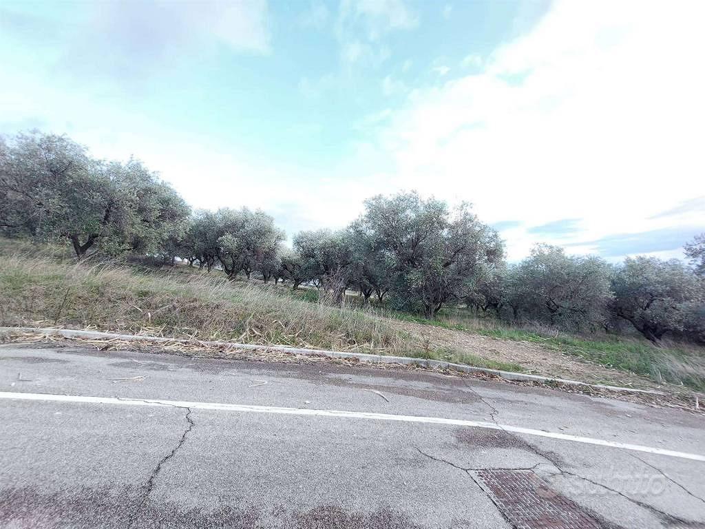 Terreno di 41169 m² a Castel Frentano - Vista 4