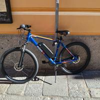 bicicletta elettrica 