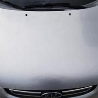 KIA SPORTAGE 2009 - COFANO ANTERIORE