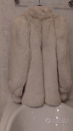 pelliccia volpe bianca