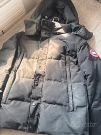 Canada Goose