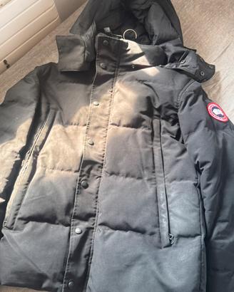 Canada Goose