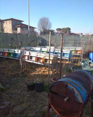 arnie per api