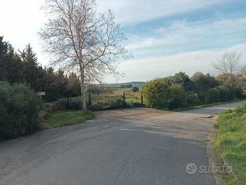 Terreno recintato con ingresso su strada asfaltata