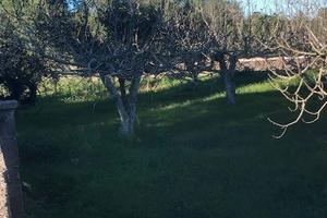 Terreno pianeggiante