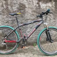 Mountain bike specialized racing