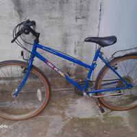 BICICLETTA SHOGUN TRAIL BREAKER