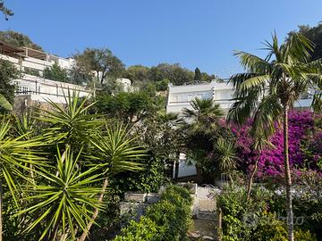 Casa a Ischia per periodo estivo