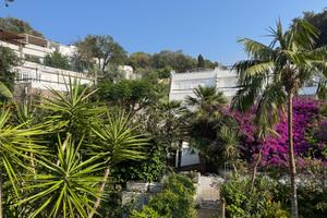 Casa a Ischia per periodo estivo