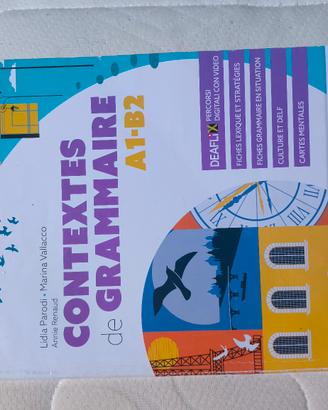 Libro Contextes de Grammaire Cideb - COME NUOVO
