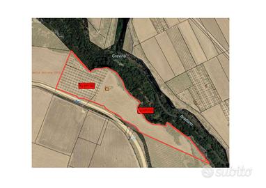 Terreno seminativo - oliveto