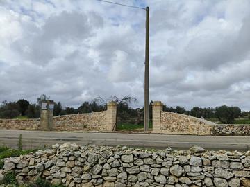 Terreno edificabile a Sannicola
