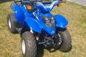 Quad Aeon Cobra S 100 Targato