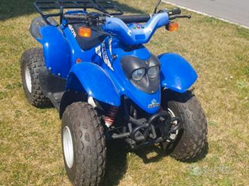 Quad Aeon Cobra S 100 Targato