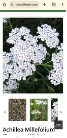 Rimessa/fienile o altro