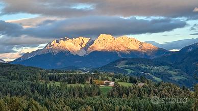 Appartamenti a Nova Ponente