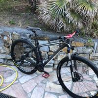 specialized mtb
