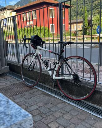 Willin full carbon
