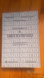 Libro diritto privato