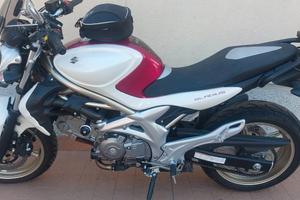 Suzuki Gladius 650