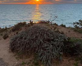 Vacanze in Sardegna