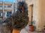 Immagine 4