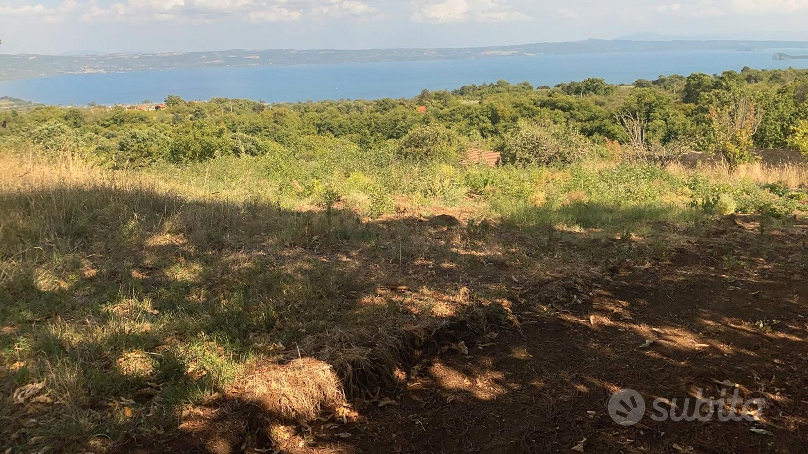 GRADOLI RUDERE ABITATIVO CON TERRENO 2500mq - Altro
