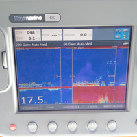 Raymarine c80