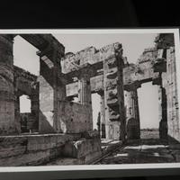 PINO MUSI – "Il Tempio di Hera a Paestum" – stampa