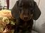 Immagine 21