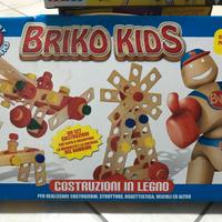 Briko Kids in legno colorato