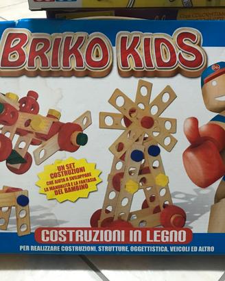 Briko Kids in legno colorato