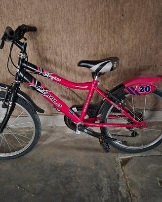 bicicletta 