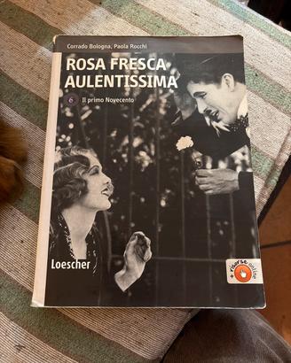Rosa Fresca Aulentissima vol 6 di Bologna e Rocchi